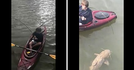 Tennessee River catfish