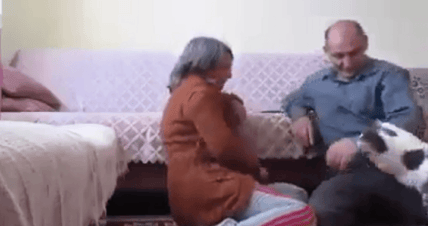 cat attacks elderly couple