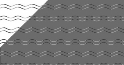 optical illusion