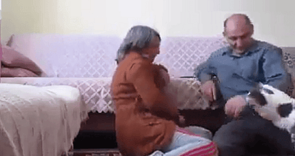 cat attacks elderly couple