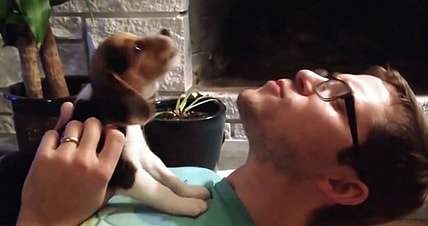 dog learns to howl