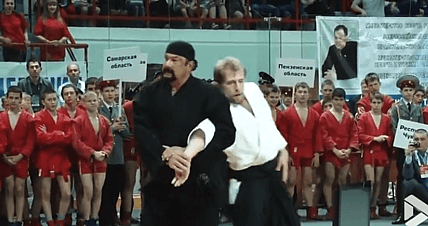 Steven Seagal martial arts