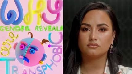 demi lovato gender reveal transphobic