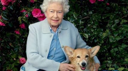 Queen Elizabeth pens letters