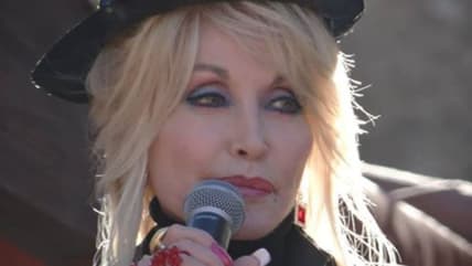 Dolly Parton wig