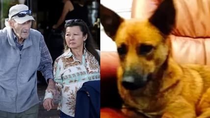 Gene Hackman Dog