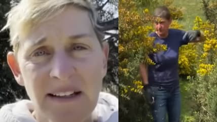 Ellen DeGeneres