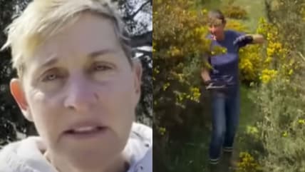 Ellen DeGeneres
