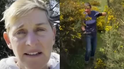 Ellen DeGeneres
