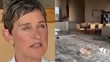 Ellen DeGeneres