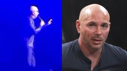 Pitbull