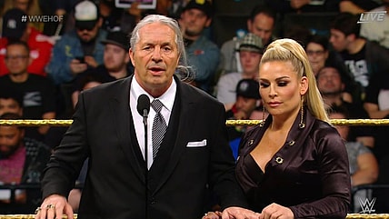 Update On Bret Hart's Attacker