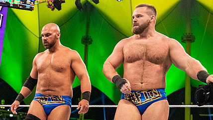 WWE Releases The Revival