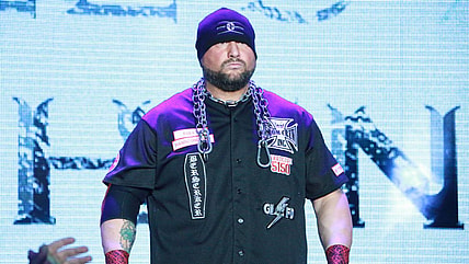 Bully Ray WWE Job