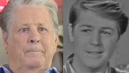 Brian Wilson Beach Boys