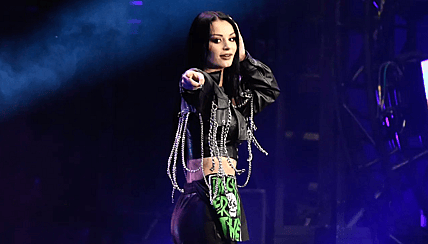 wwe wanted paige gm