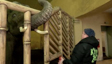 Kyiv Zoo