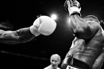 two men boxing / Netflix's September lineup