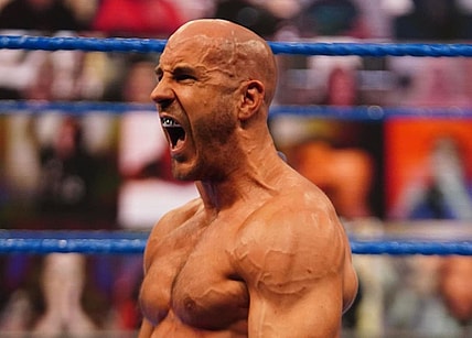 what next for cesaro