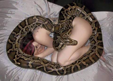python