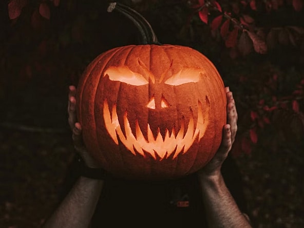 Halloween Movies for people who hate being scared Unsplash