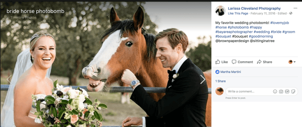 horse steals a bride's spotlight