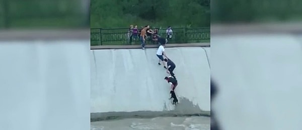 flood, dog rescue, human chain