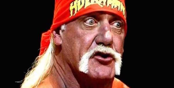 Hogan's racist statements