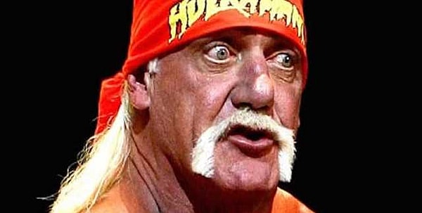 Hogan's racist statements