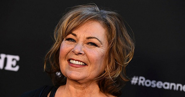 roseanne barr new sitcom