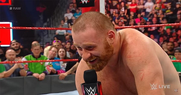 WWE Superstars Sami Zayn