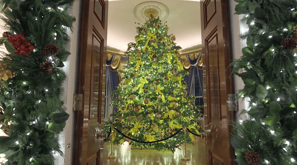 Blue Room White House Christmas 2020