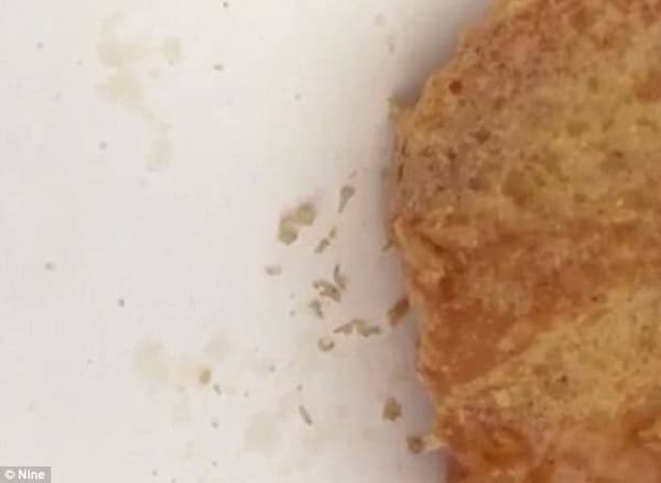 McDonalds maggots