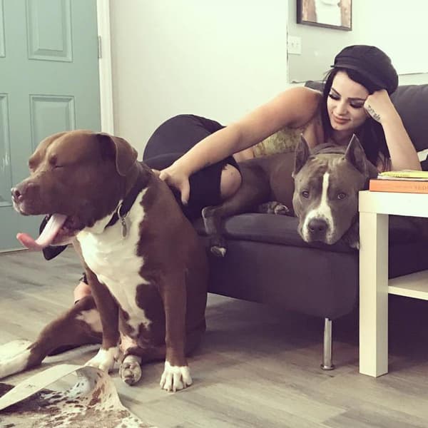 Paige