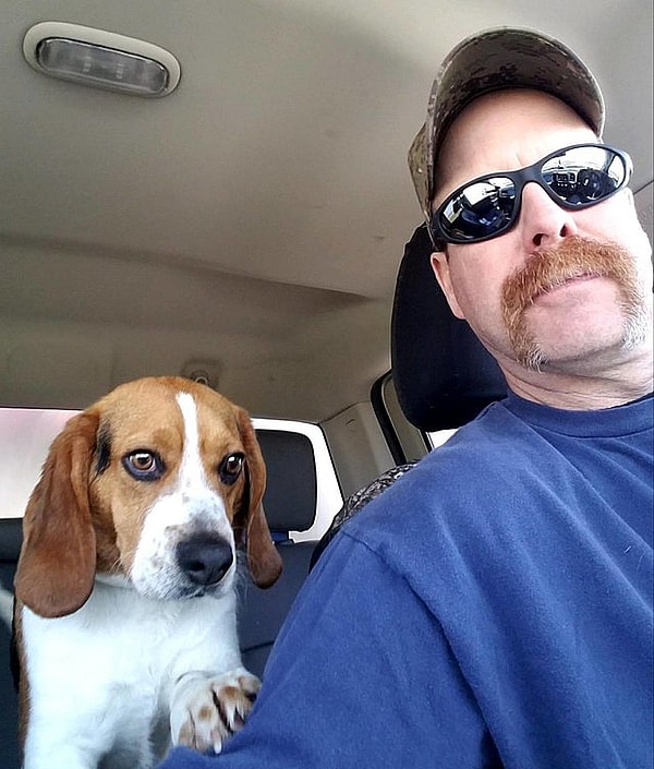 Gregory beagle