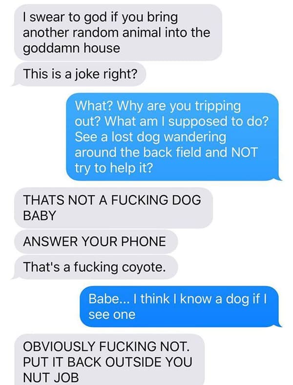 Coyote