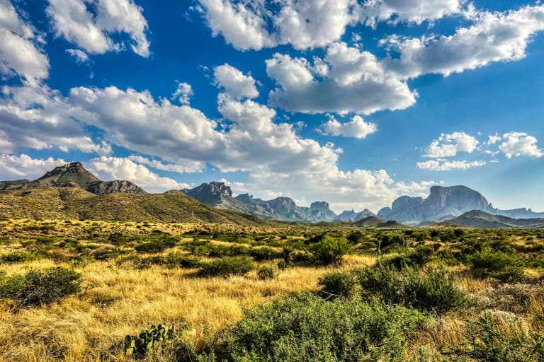 texas landscape