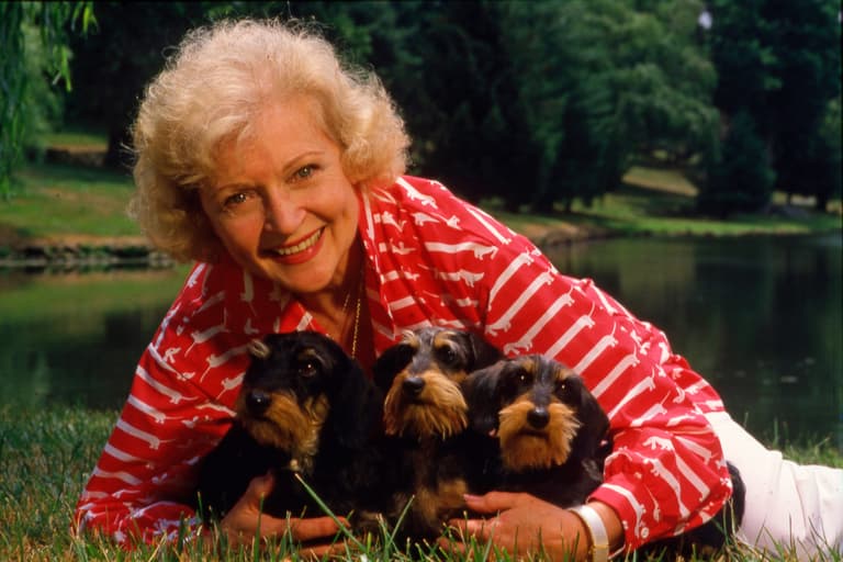 1986 portrait of actress Betty White, a noted animal activist and star on the television series "Golden Girls." Actress Betty