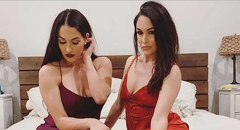 Bella Twins At WWE