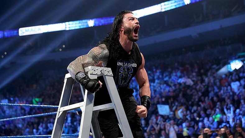 SmackDown In A Nutshell: Can The Big Dog Bite Back?