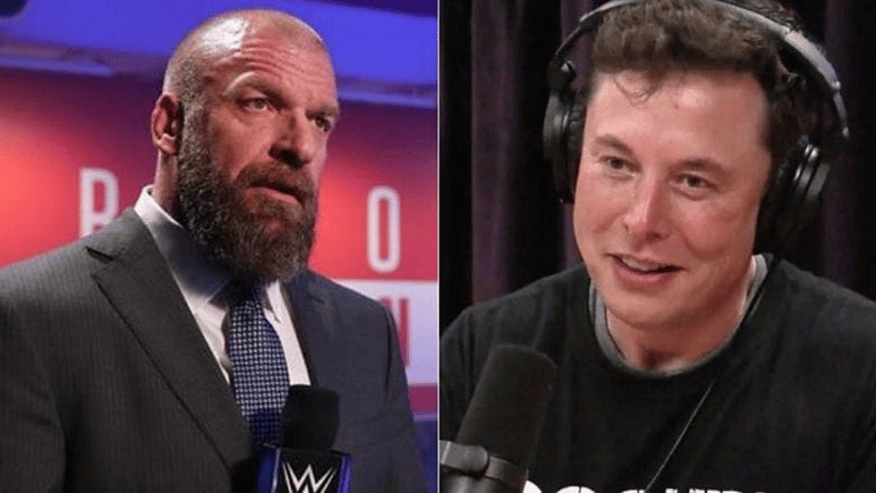 Triple H Elon Musk