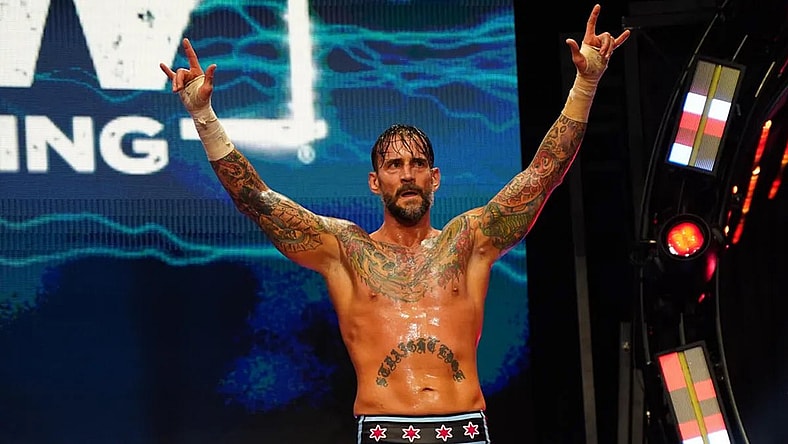 CM Punk WWE Return