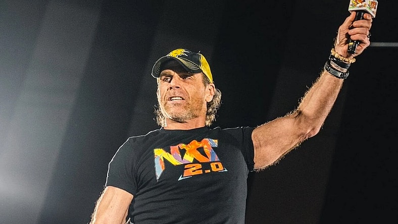 Offer Shawn Michaels Wrestle