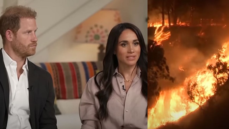 Harry Meghan Wildfires