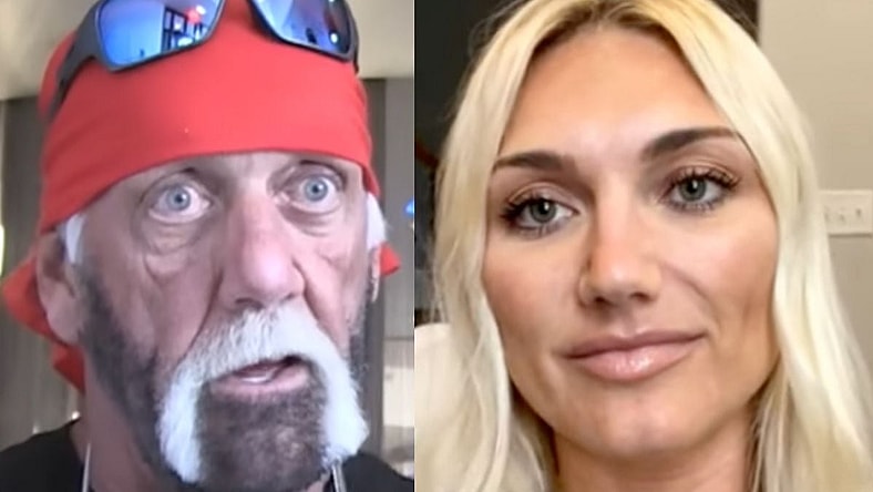 Hulk Hogan Brooke