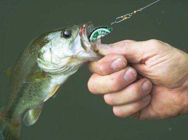 Bottle cap lure fish on hook