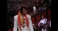 Elvis Presley, Dixieland, southern pride