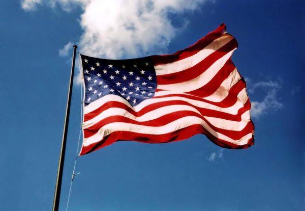 flag, patriotism, political correctness, ban