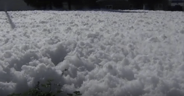 Foam Blob