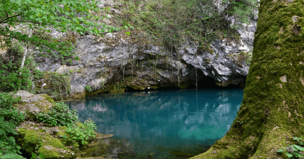 pond